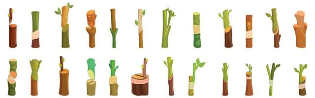 Plant grafting icons set. Grafting process showing different stages of plant propagation technique vector