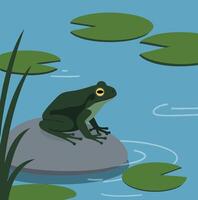Frog sitting on rock in pond with green lily pads and reeds in calm water illustration vector