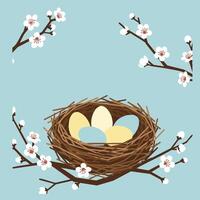 Bird nest with colorful eggs on blossoming branches spring season illustration square format vector