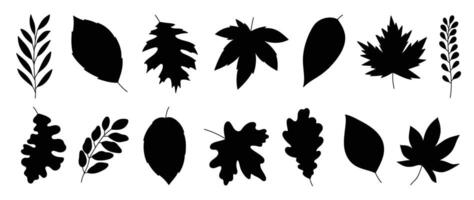 Set of leaf black silhouette element. vector