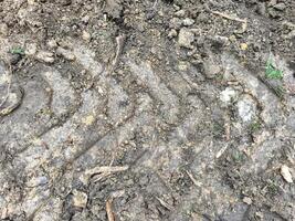 A tire track is shown in the dirt, with a few leaves scattered around. Scene is somewhat somber, as the tire track is a reminder of the passage of time and the wear and tear of the earth photo