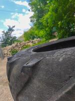 A tire is sitting on the ground in front of a tree. The tire is old and worn, with a few holes in it. The image has a somewhat somber mood, as the tire appears to be abandoned and forgotten photo