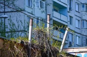 A wire is hanging from a building and is covered in weeds. The weeds are growing on the wire and the building, giving the scene a somewhat neglected and overgrown appearance photo