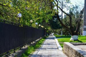 A walkway with a fence and a tree in the background. The walkway is lit up by street lights photo