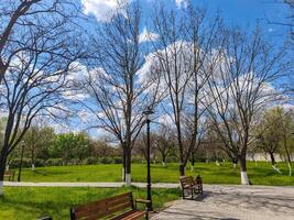 A park with a bench and a lamp post. The lamp post is lit up and the bench is empty. The sky is blue and there are trees in the background photo