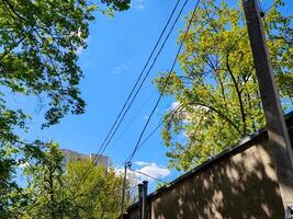 A wire is hanging from a pole and is above a tree. The sky is blue and the sun is shining photo