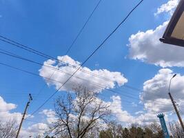 The sky is blue and the clouds are white. The clouds are scattered throughout the sky. The wires are above the trees photo