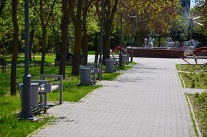 A park with a path lined with benches and trees. The benches are empty and the path is empty photo