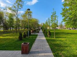 A park with a path and trees. The path is lined with benches and trash cans. The sky is blue and the sun is shining photo