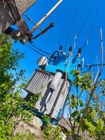 A blue power tower with wires and a pole in the background. The tower is surrounded by trees and leaves photo