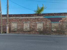 A brick wall with a tree in front of it. The tree is small and is located in the middle of the wall photo