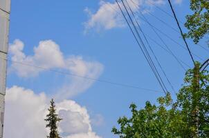 A tree is in front of a building and the sky is blue with clouds. The sky is clear and the sun is shining photo