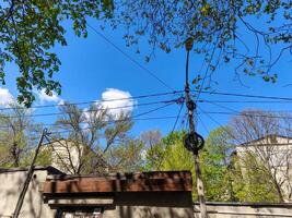 A tall pole with wires and a street light on top. The sky is blue and there are trees in the background photo