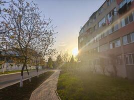 A walkway in front of a building with trees and a sun shining on it. The sun is setting and the sky is blue photo