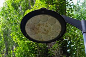 A street light with a dirty bulb. The light is surrounded by green leaves and branches. The light is not lit up photo