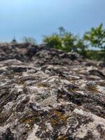 A rocky hillside with a few trees in the background. The rocks are covered in moss and lichen, giving the scene a somewhat eerie and mysterious feel photo