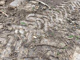 The dirt is muddy and has tire tracks in it. The tire tracks are in a zigzag pattern photo