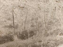A wall with a lot of scratches and marks on it. The wall is made of concrete and has a rough texture photo
