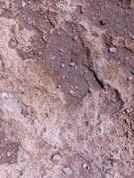 A rocky surface with a few small rocks scattered about. The surface is rough and uneven, with some areas appearing to be more worn down than others. Scene is somewhat desolate and rugged photo