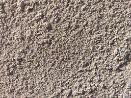 A wall with a rough, grainy texture. The wall is made of concrete and has a lot of bumps and ridges photo