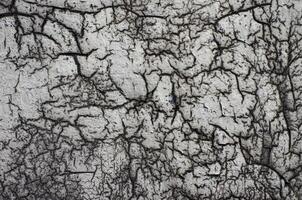 The image is of a wall with a lot of cracks and holes. The wall appears to be old and worn down, with a lot of damage. The cracks and holes give the wall a rough and rugged appearance photo