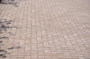 A brick paved road with a tree in the background. The road is empty and the bricks are laid out in a checkered pattern photo