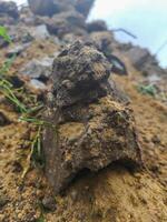 A rock is sitting on a hillside. The rock is brown and has a rough texture. The hillside is covered in grass and dirt photo