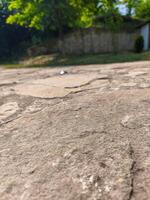 A close up of a stone walkway with a small object on it. The stone walkway is cracked and worn, giving it a sense of age and history. The small object on the ground is a silver coin photo