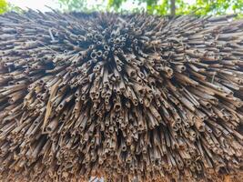 A bunch of straws that are all tangled together. The straws are brown and appear to be dried out. Scene is somewhat chaotic and disorganized, as the straws are all over the place photo