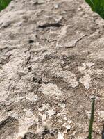 A rock with a few footprints on it. The rock is brown and has a rough texture. The footprints are small and scattered across the surface of the rock. Concept of exploration and adventure photo