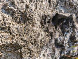 A large rock with many holes and cracks. The rock appears to be old and weathered, with a rough texture. The holes and cracks give the rock a sense of depth and character photo