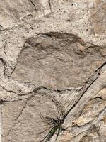 A rock with a hole in it. The rock is grey and has a rough texture photo