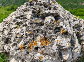 A rock covered in moss and lichen. The moss is yellow and green. The rock is large and rough photo