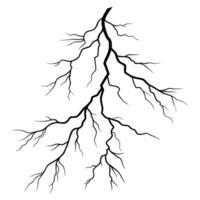 Abstract black crack branching lines design vector