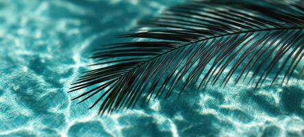The serene palm leaf floating on turquoise water surface. photo