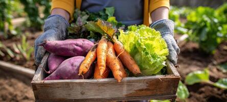 The fresh harvest of vibrant vegetables from a thriving home garden. photo