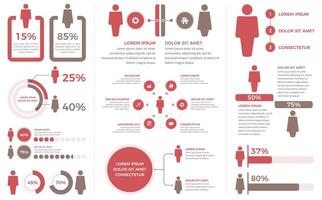 Demography infographic elements - diagrams, statistics, percents - set of templates with man and woman symbols vector