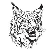 Hand drawn lynx head sketch vector