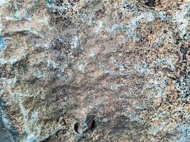 Detailed texture of weathered rock shows intricate patterns, colors, and erosion marks from nature. photo