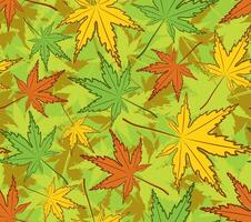 Seamless background with maple leaves. vector