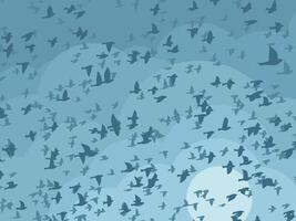 Sky with birds. vector
