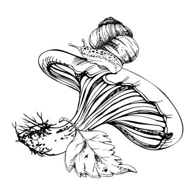 Russula cortinarius webcap mushroom, crawling snail on cap, fallen autumn leaf. Forest floor, backyard garden scene. Fungi natural illustration hand drawn in ink. Herbarium, foraging journals