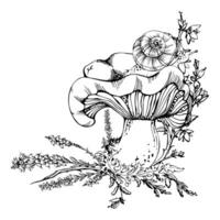Russula webcap mushroom, snail on top, moss lichen growth, heather flowers. Nature composition hand drawn in ink. Forest floor habitat scene. Mycology book illustrations, calendar poster art vector