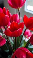 vase filled with red flowers next to a window photo