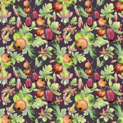 Gooseberry berries flower buds leaves clusters on thorny branch, ripe garden currant. Seamless pattern isolated on dark. Hand drawn in watercolor. Kitchen linens fabric tile, packaging, wrapping paper