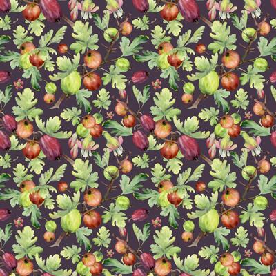 Gooseberry Currant garden berry, leaves flowers hanging on spiked thorny branches hand drawn in watercolor. Seamless pattern isolated on dark. Craft drinks, grocery, background wallpaper, packaging