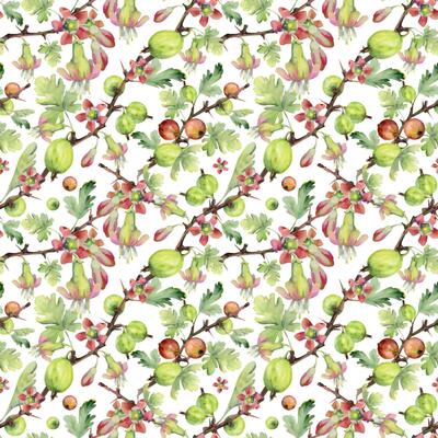 Gooseberry berries flower buds leaves on thorny branch, ripe garden casseille currant. Cut out seamless diagonal pattern hand drawn in watercolor. Home preserves cookbook, packaging, wrapping paper