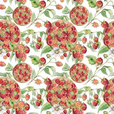 Raspberry mulberry berries, branches leaves served on ceramic dish, ripe picked harvest hand drawn in watercolor. Isolated seamless pattern. Farmers market grocery menu, wrapping paper, food packaging