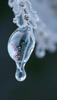 Frozen water droplets on a lace photo