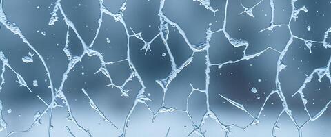 A close up of a window with water on it photo